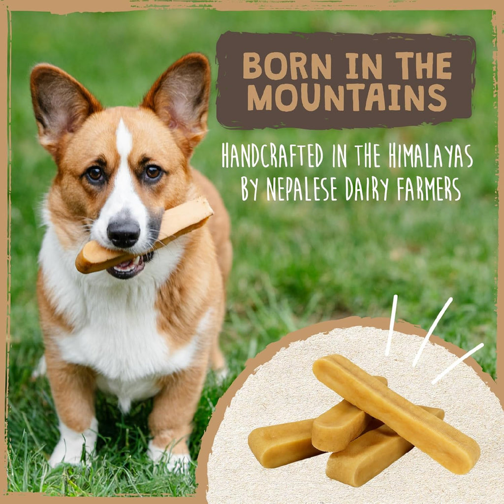 Mighty Paw Yak Cheese Dog Chews – All-Natural Long Lasting Hard Chew for Aggressive Chewers – High Protein, Odor-Free Dog Treat – 3 Ingredient Natural Yak Chews for Large Dogs – (4 Pack)