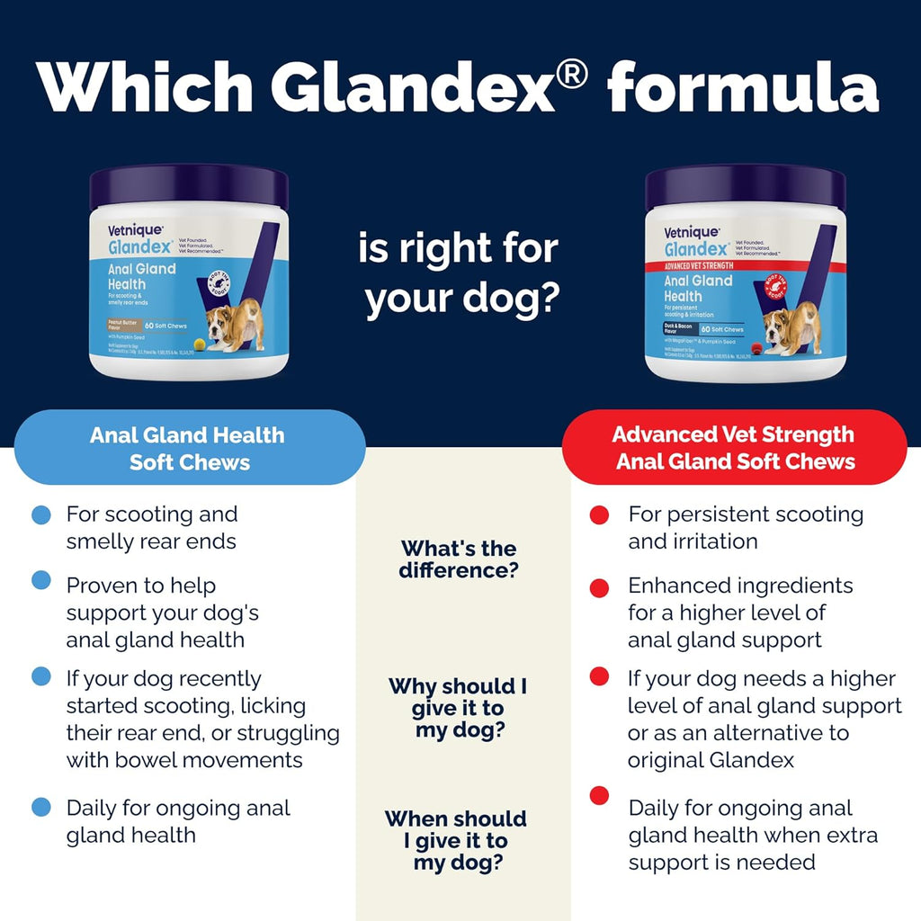 Vetnique Glandex Anal Gland Soft Chew Treats with Pumpkin for Dogs Digestive Enzymes, Probiotics Fiber Supplement for Dogs Boot The Scoot (Peanut Butter Chews, 60 Count)